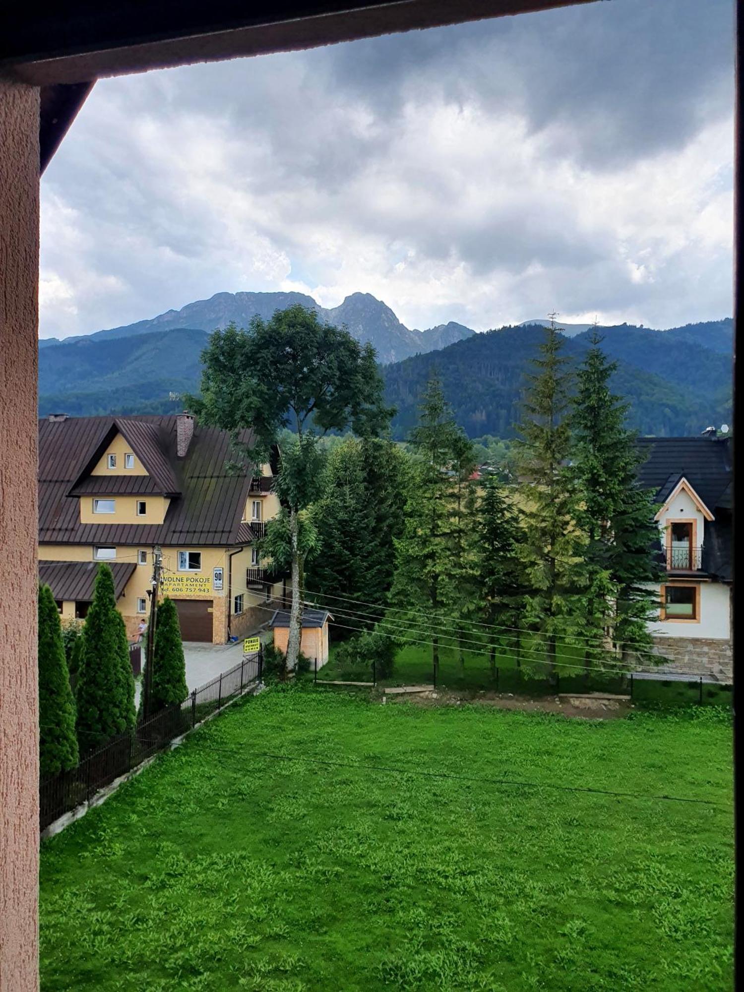 Szafran Zakopane